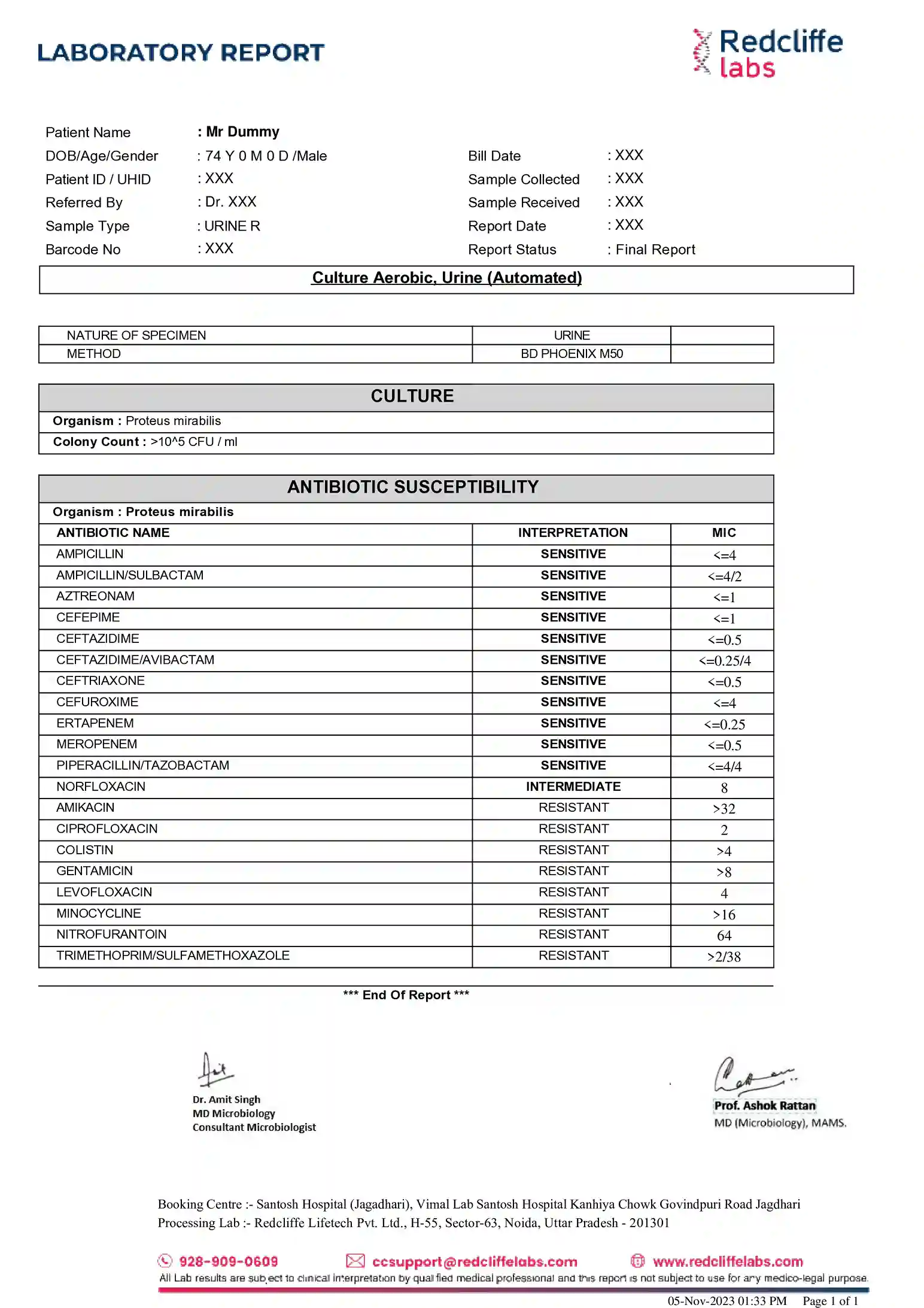 Urine Culture Test Sample Report