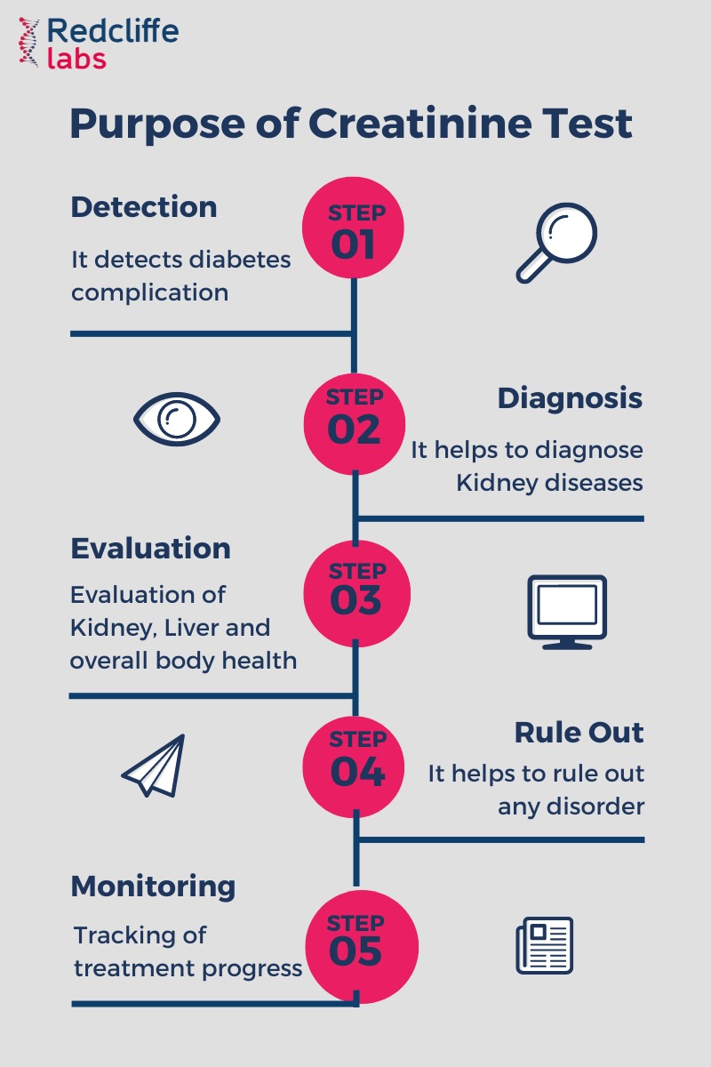 Creatinine Test: High, Low, & Normal Levels - SelfDecode Labs